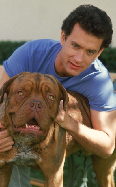 Turner and Hooch, Tom Hanks